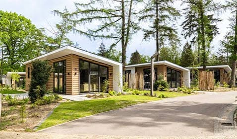 Rij moderne lodges tussen de bomen